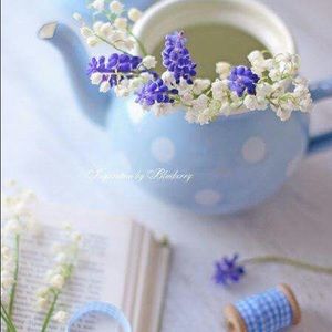 Meet your Posher, Simone